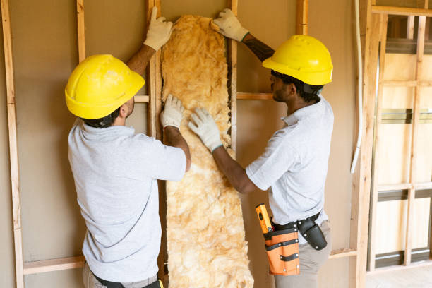Best Blown-in Insulation  in Youngtown, AZ
